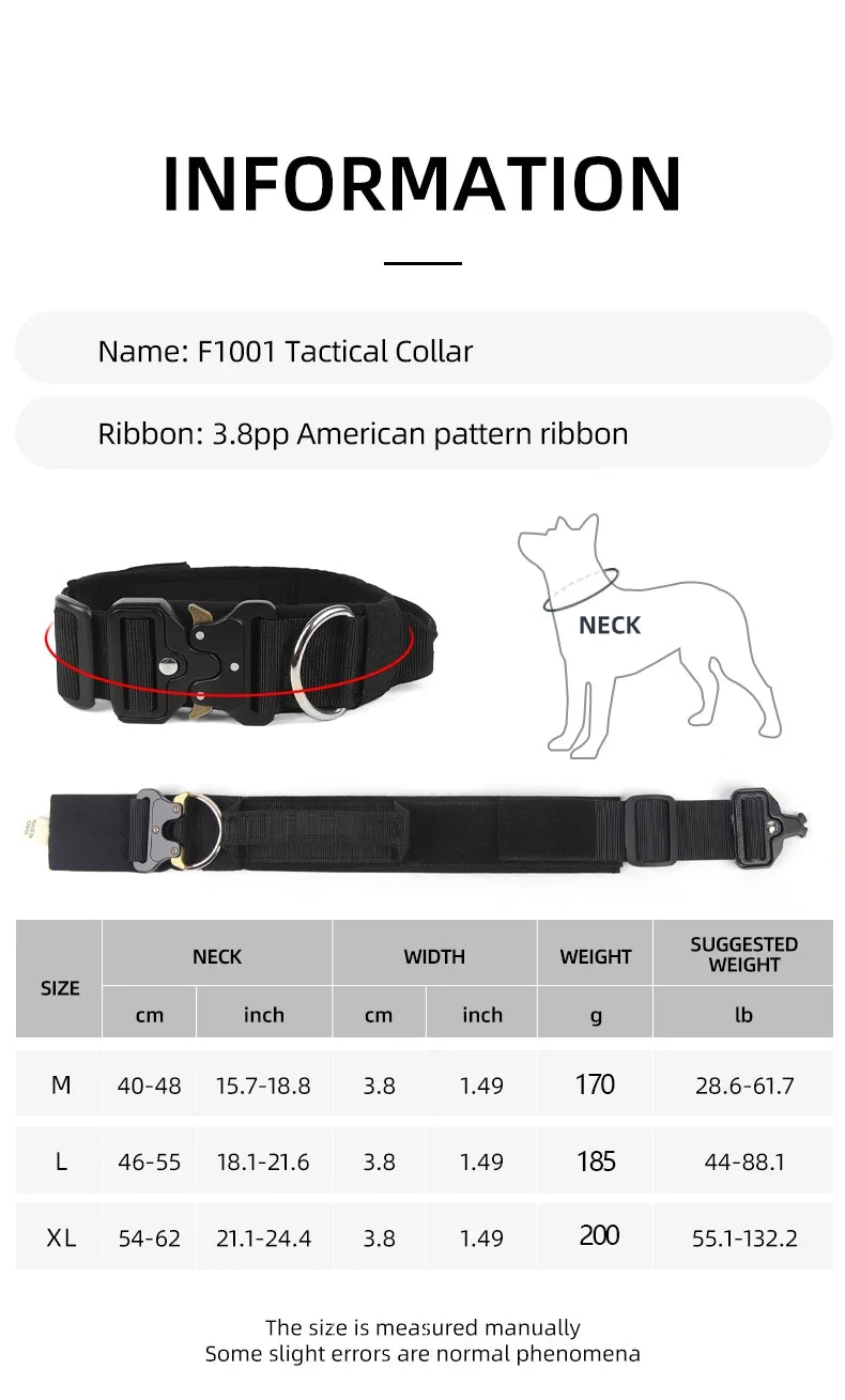 Ensemble complet collier et harnais pour chien avec laisse