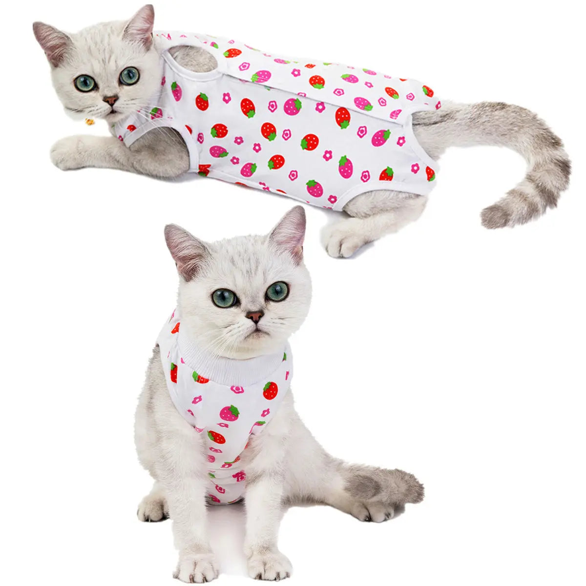 Combinaison de récupération post-opératoire pour chats et petits chiens