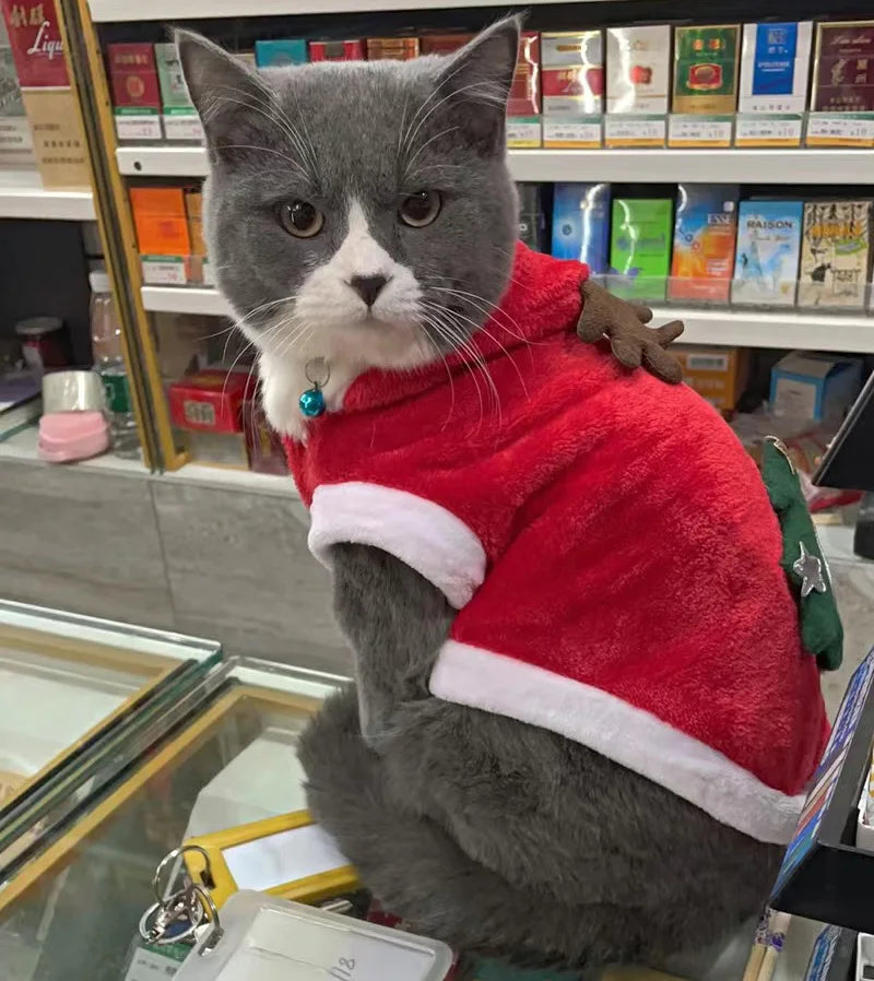 Christmas Costume for Cats & Small Dogs