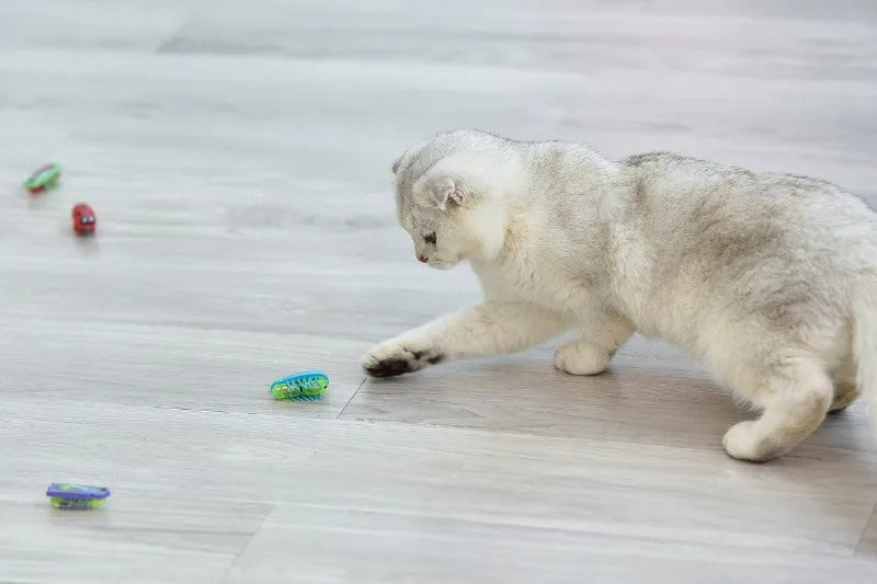 Electronic Cat Bug & Mouse Toys