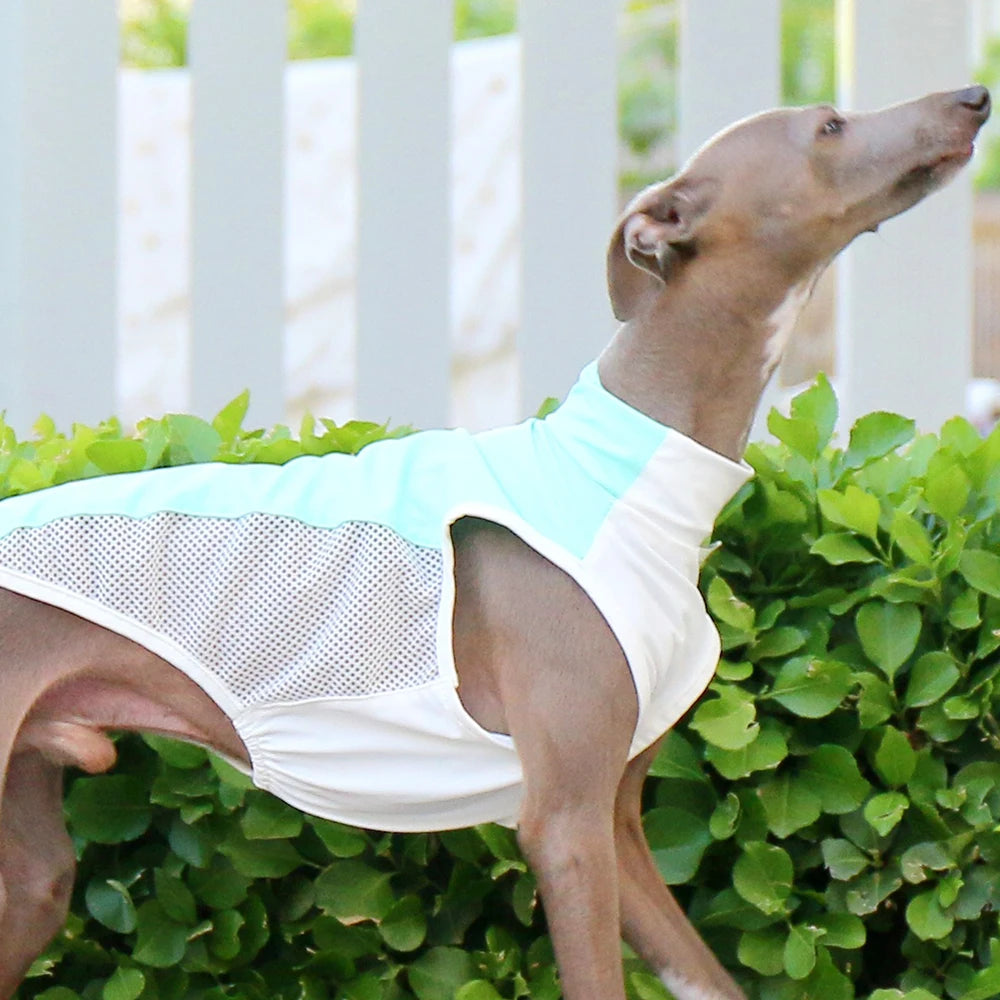 Breathable Summer Cooling Vest for Dogs & Cats