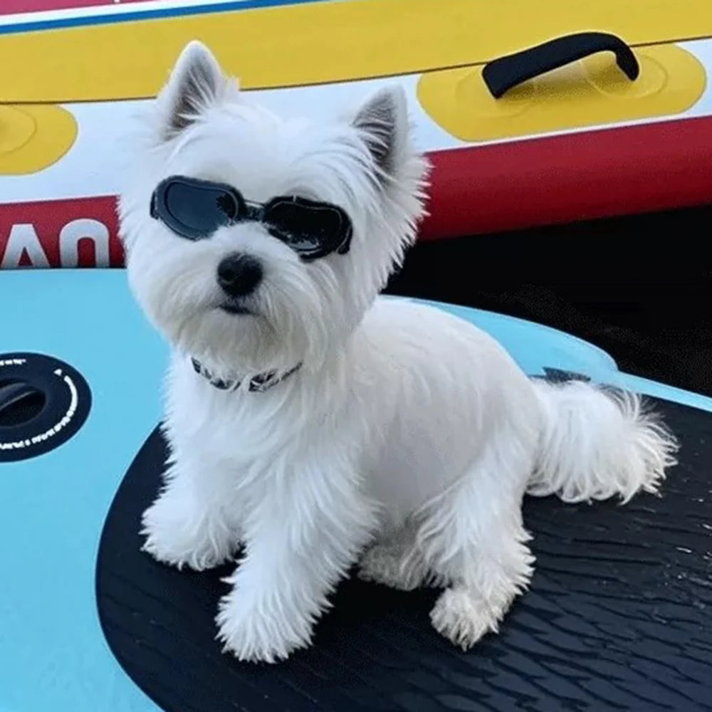 UV & Windproof Sunglasses Goggles for Small Dogs & Cats