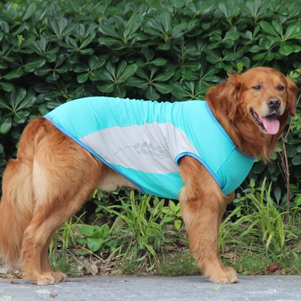 Reflective Cooling Vest for Dogs & Cats