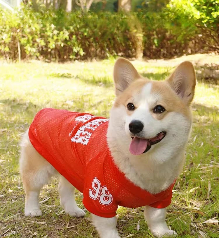 LA Style Dog Cooling Vest | Summer Breathable Shirt for Small to Large Dogs