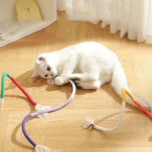 Interactive Cat Toys Set - Feather Teasers and Chew Toys for Kittens