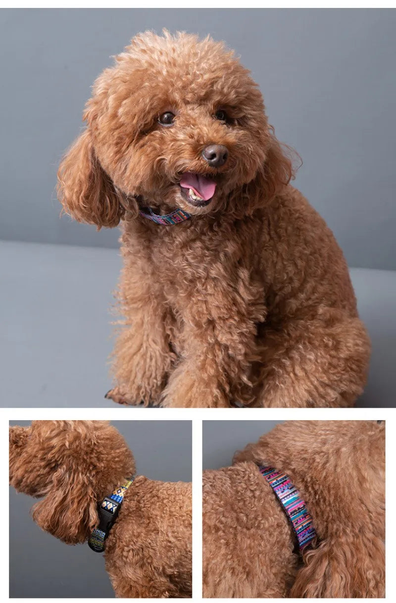 Bohemian Style Dog Collar & Leash Set – Adjustable for Small, Medium & Large Dogs