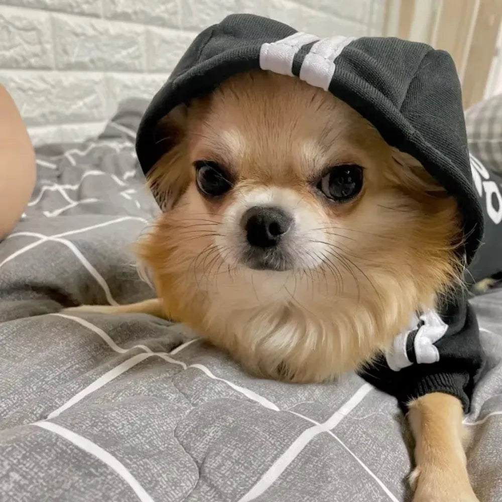 Sweat à capuche pour chien automne-hiver - Manteau chaud en molleton pour chiens de taille moyenne à grande