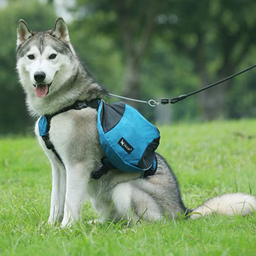 Reflective Dog Weight Training Harness Vest with Storage Pockets