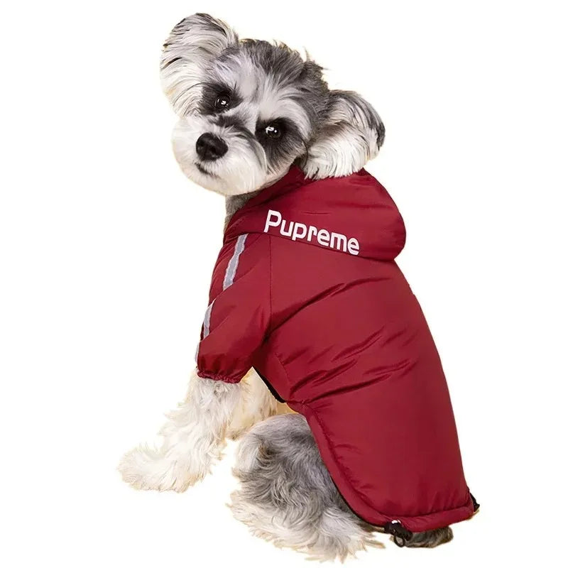 Gilet douillet pour petits chiens et chats