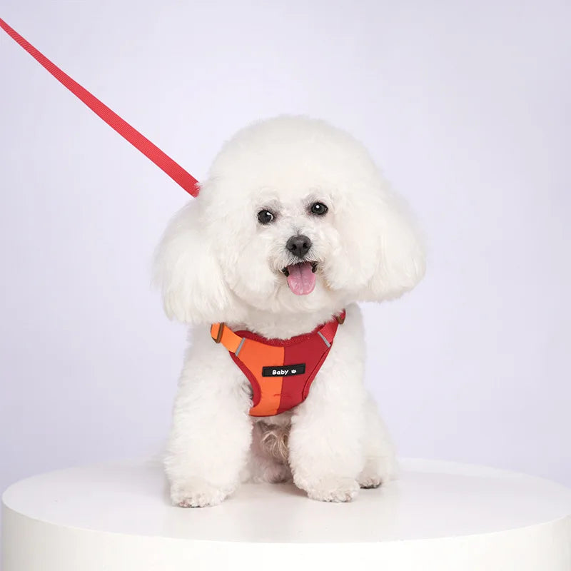 Ensemble Harnais et Laisse Réfléchissants Ajustables pour Chiens et Chats de Petite et Moyenne Taille