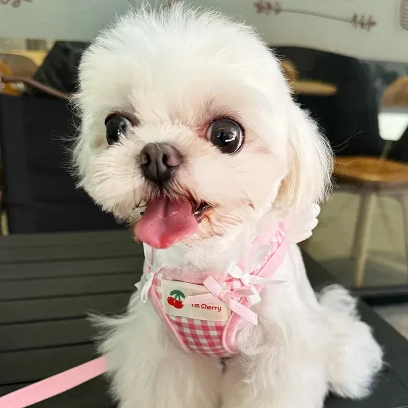 Ensemble harnais et collier en cuir de qualité supérieure pour chien