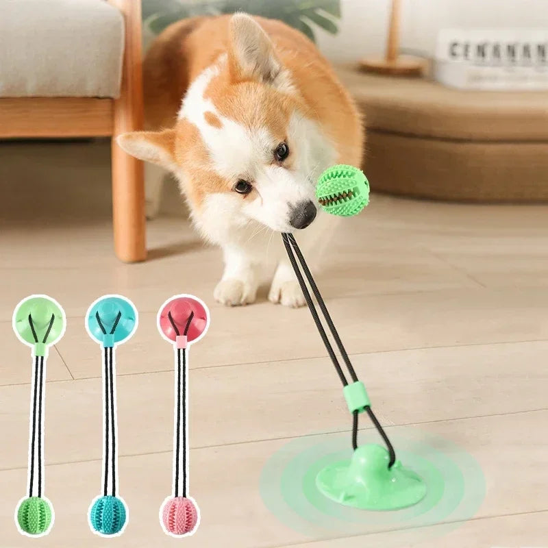 Suction Cup Tug Toy with Ball