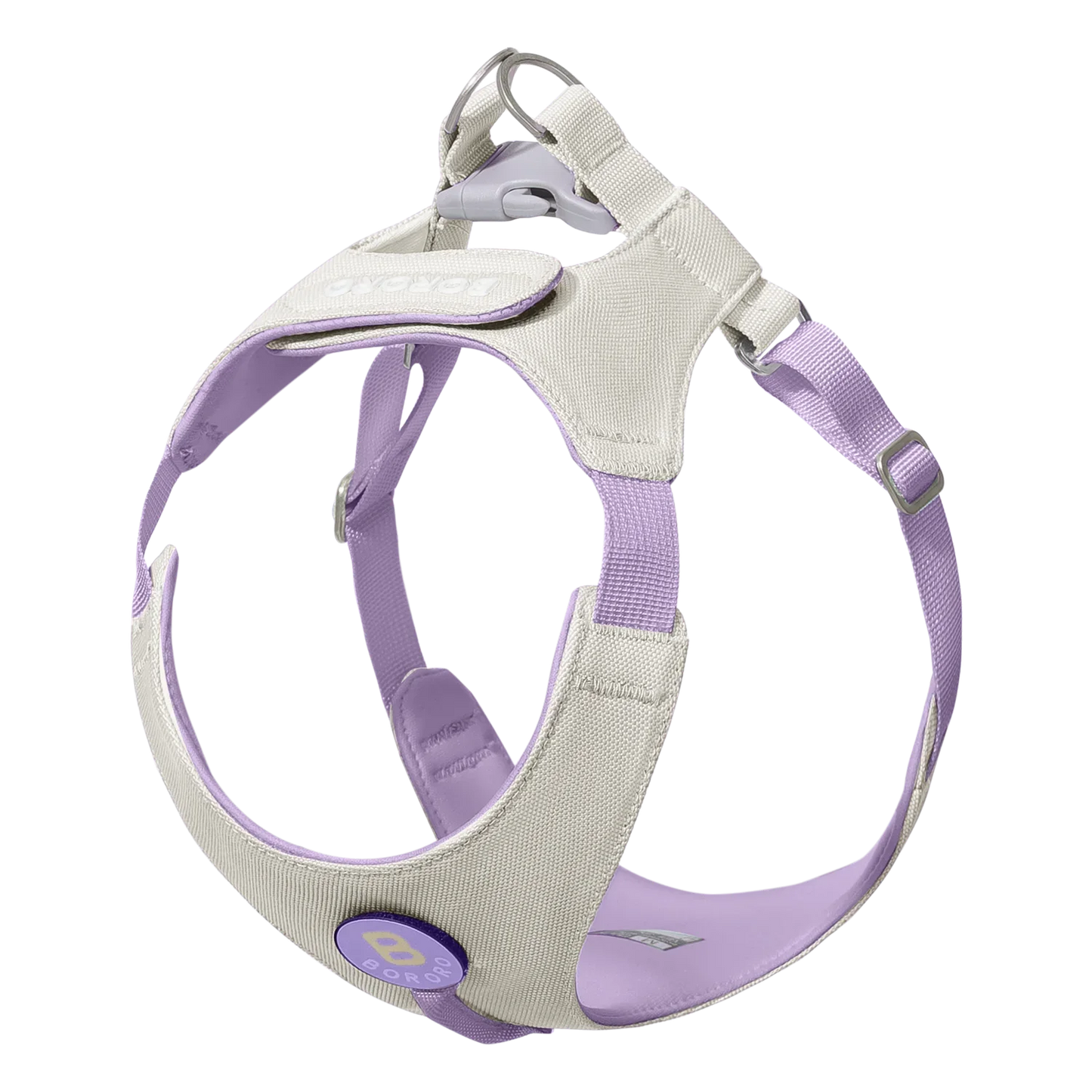 Ensemble Collier et Laisse pour Chien - Harnais de Poitrine pour Petits Chiens