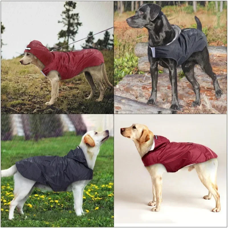 Waterproof Reflective Dog Raincoat with Hood – Sizes S to 6XL