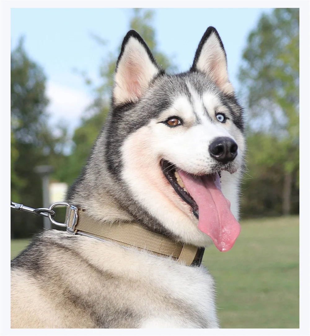Padded Reflective Tactical Dog Collar for Medium & Large Dogs