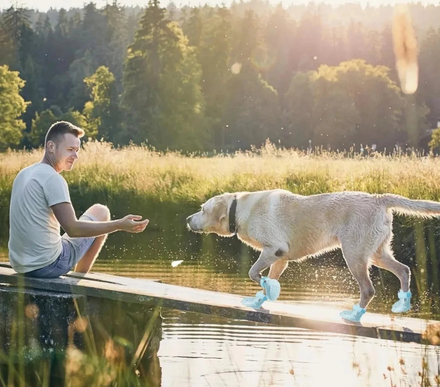 Bottes imperméables pour chien avec semelle antidérapante