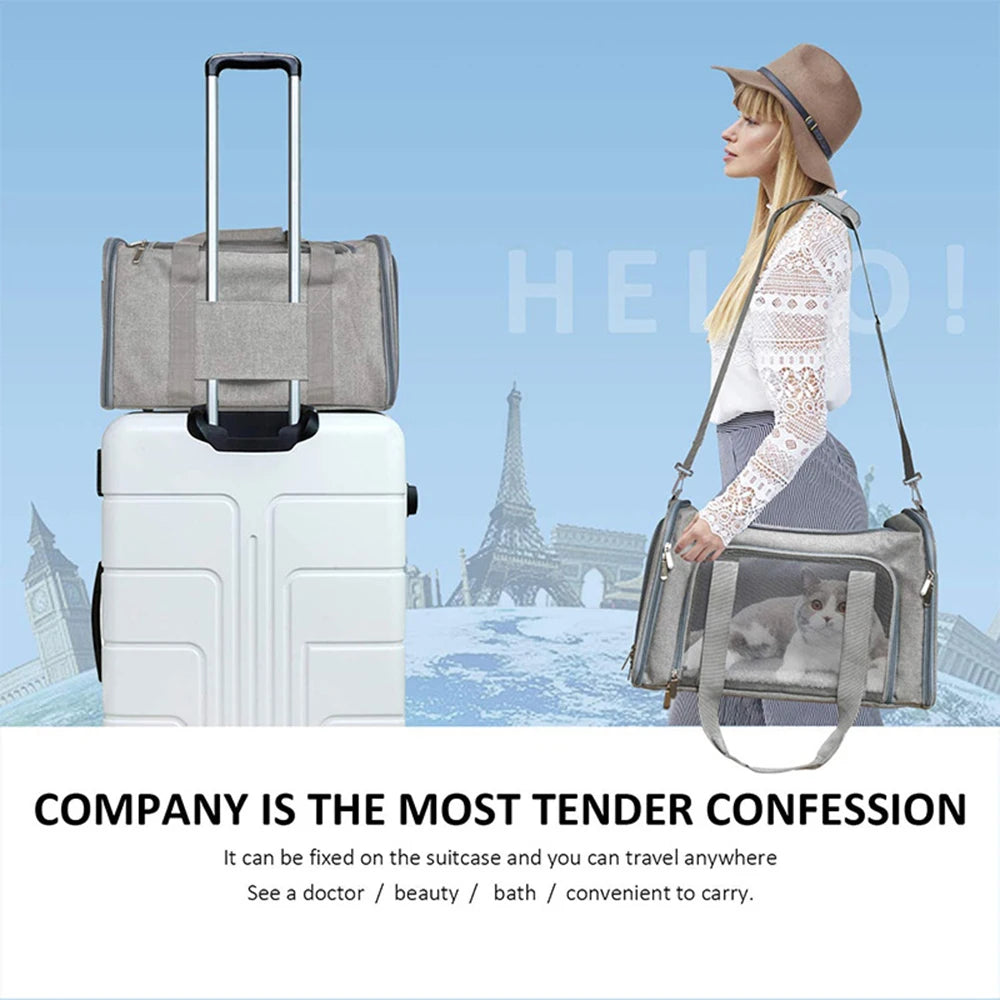 Collapsible Mesh Pet Carrier with Padded Shoulder Strap