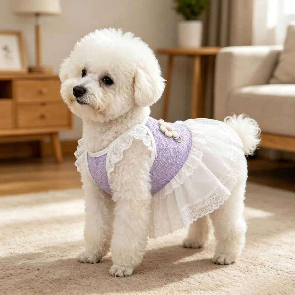 Lace Princess Dress with D-Ring for Small Dogs & Cats