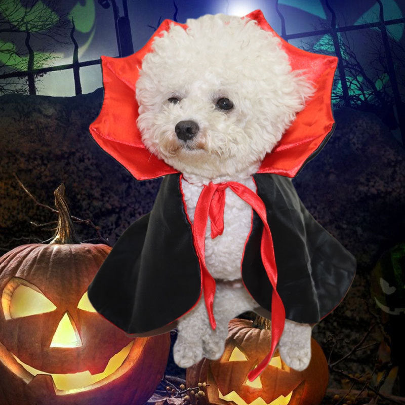 Costume de vampire pour animal de compagnie