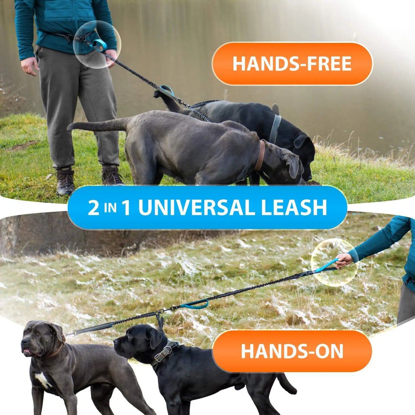 Double Dog Leash with Elastic Shock Absorber