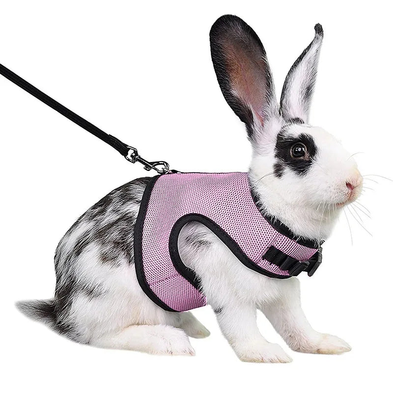 Mesh Breathable Harness & Leash Set for Rabbits, Ferrets & Small Pets