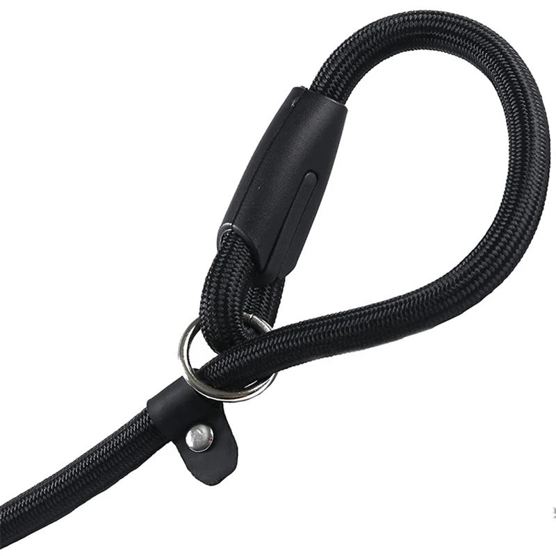Nylon Slip Lead Training Leash for Small & Medium Dogs