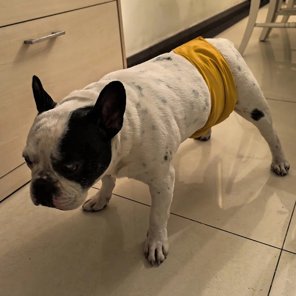Reusable Waterproof Male Dog Belly Band Nappy Wraps