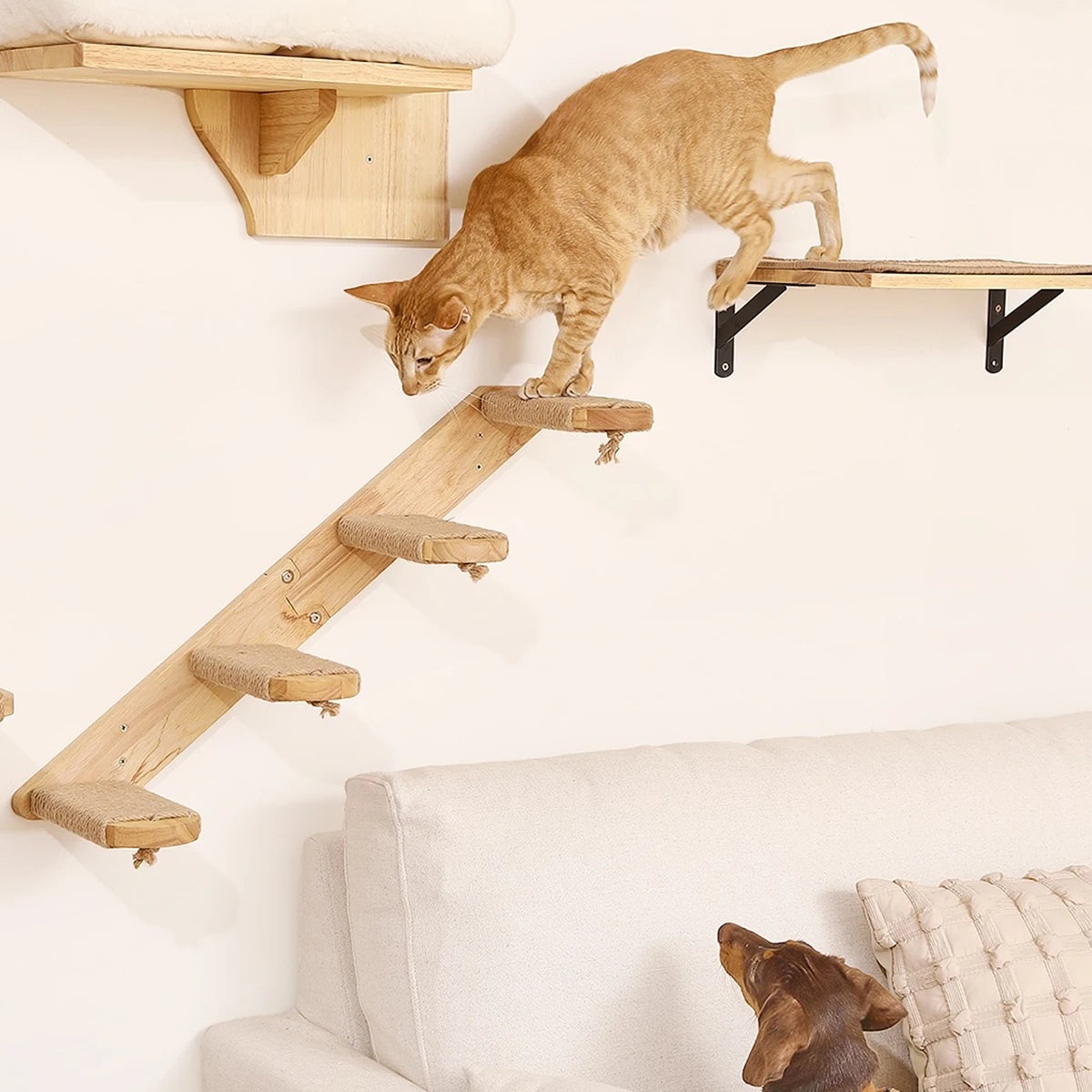 Wooden Wall-Mounted Cat Climbing Furniture