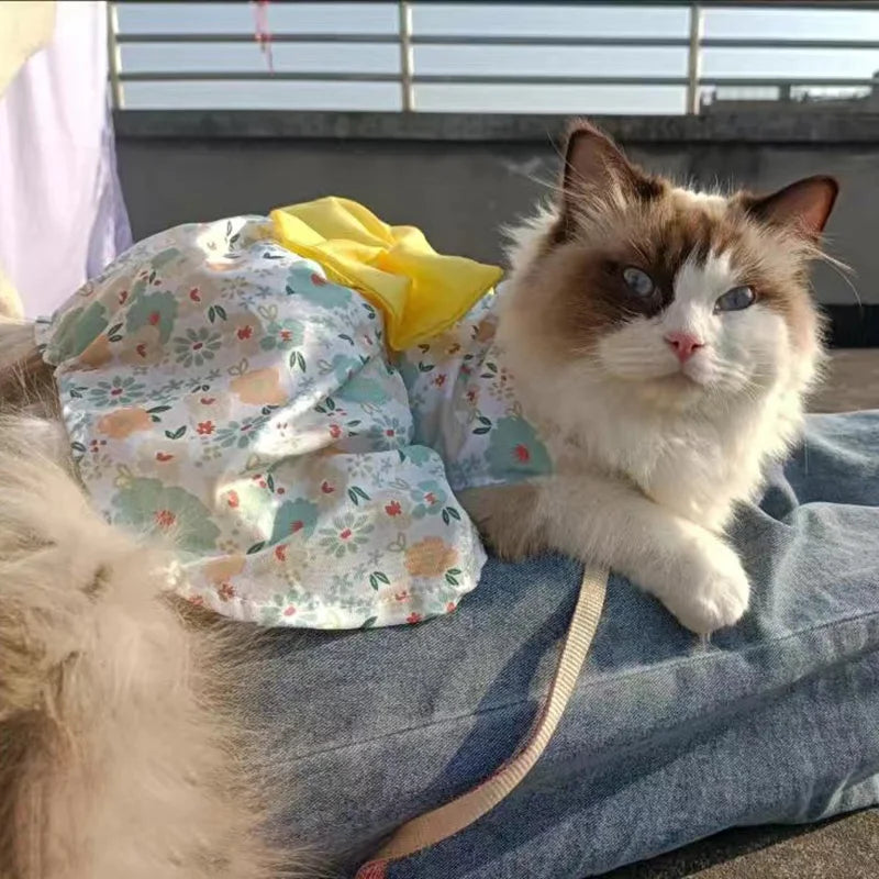 Fruit & Floral Print Bow Dress for Cats & Small Dogs