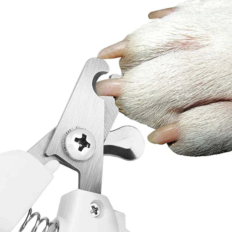 Coupe-ongles professionnel en acier inoxydable pour chiens et chats