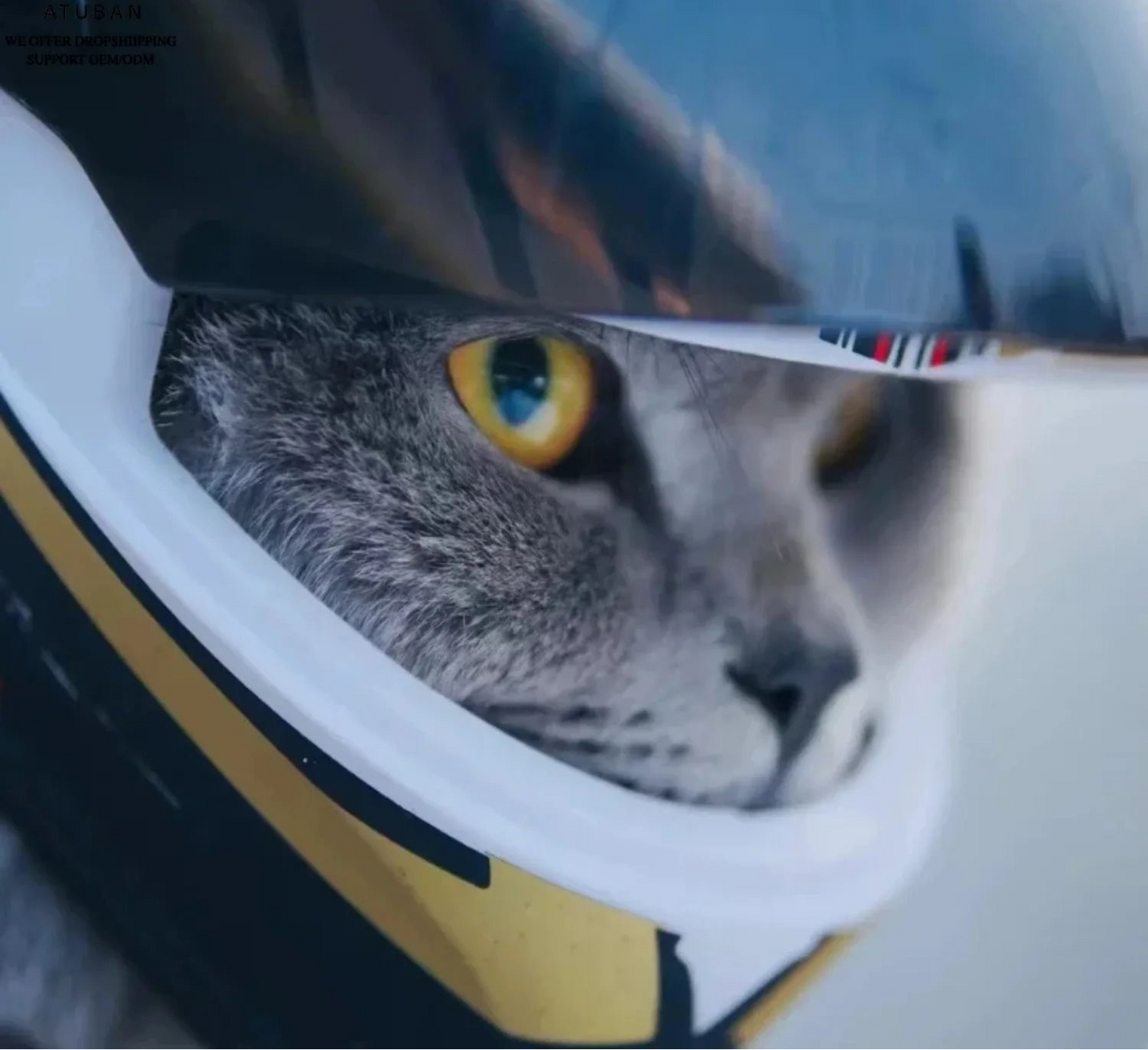 Pet Motorcycle Helmet for Cats & Small Dogs