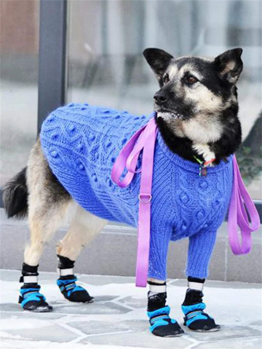 Waterproof Reflective Dog Ankle Boots with Cotton Lining