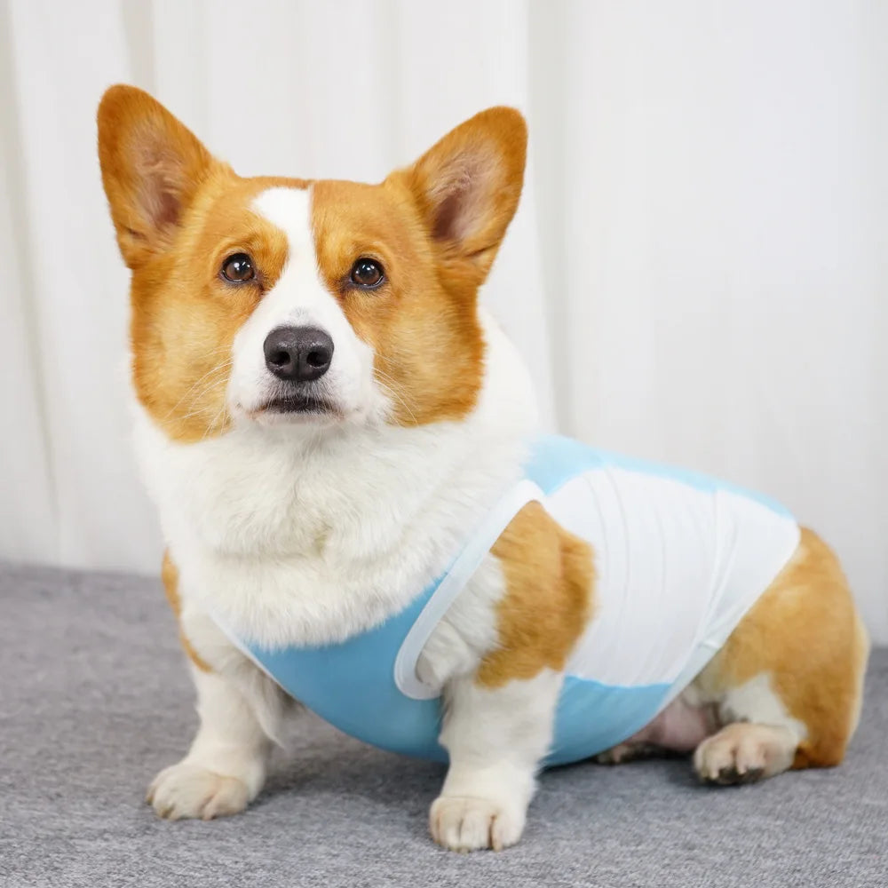 Ice Silk Cooling Vest with Sun Protection for Dogs & Cats