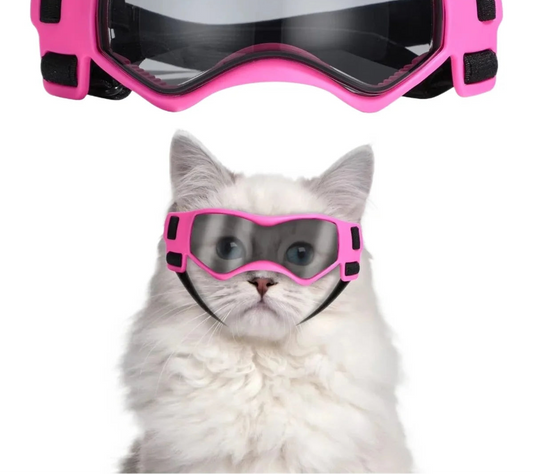 Cat Sunglasses - UV Protection Goggles for Small Pets