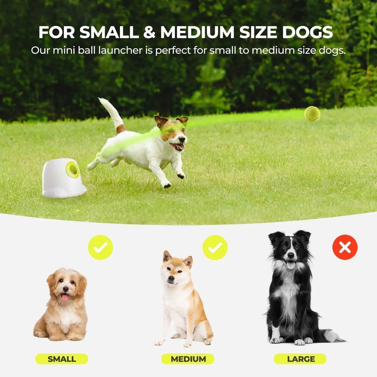 Automatic Mini Dog Ball Launcher