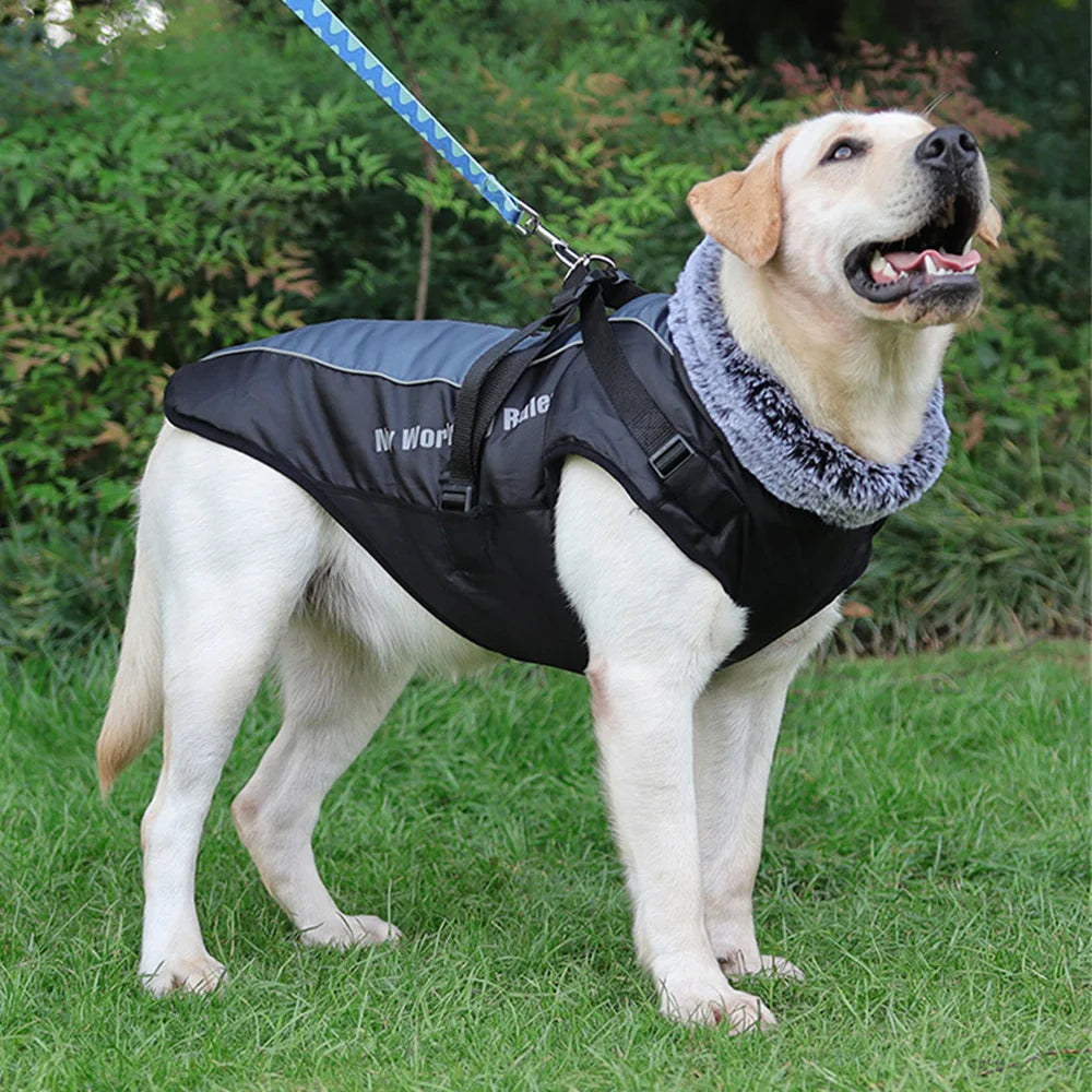 Reflective Waterproof Winter Dog Coat with Fur Collar & Harness