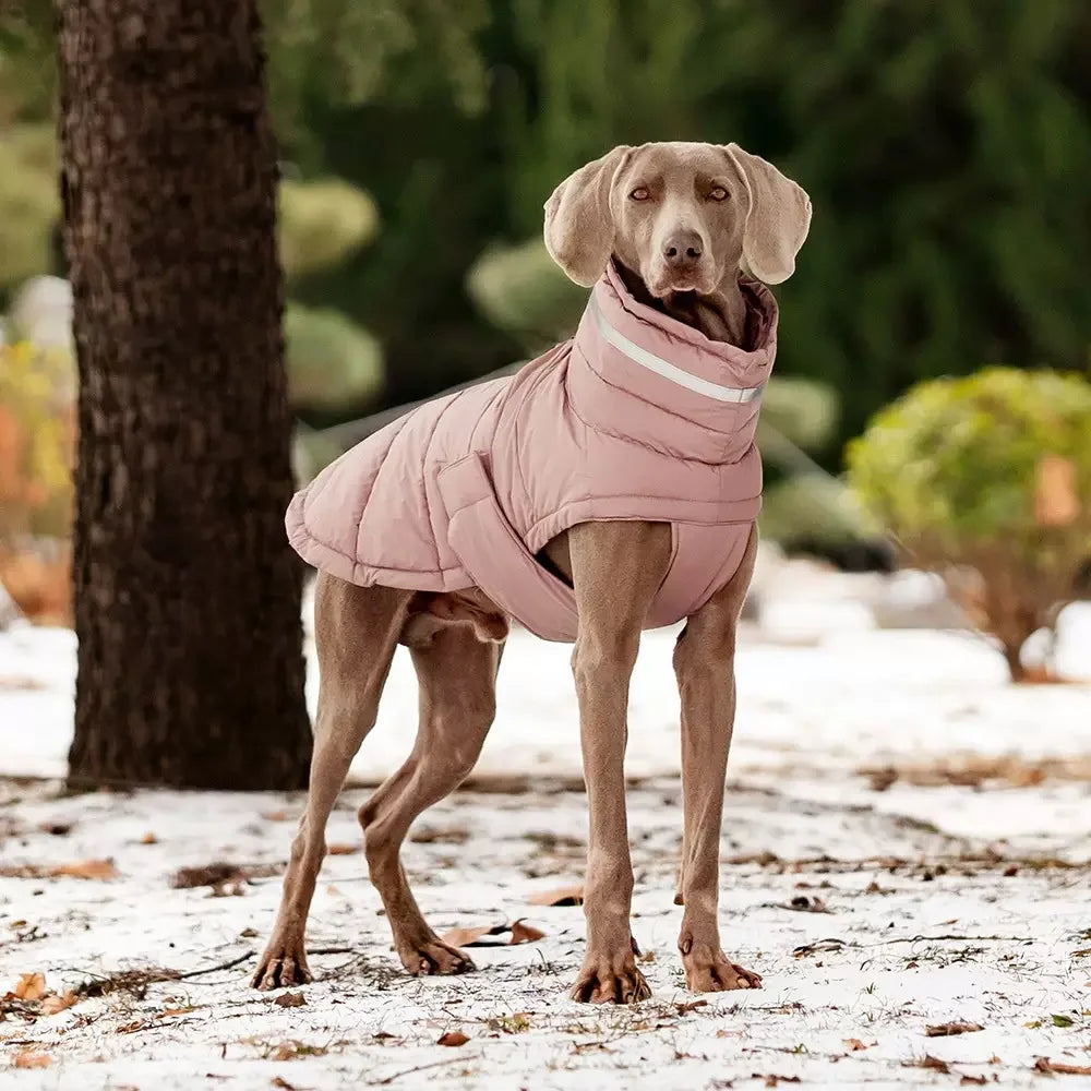 Windproof Winter Down Vest for Small Dogs
