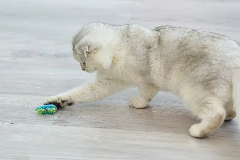 Electronic Cat Bug & Mouse Toys