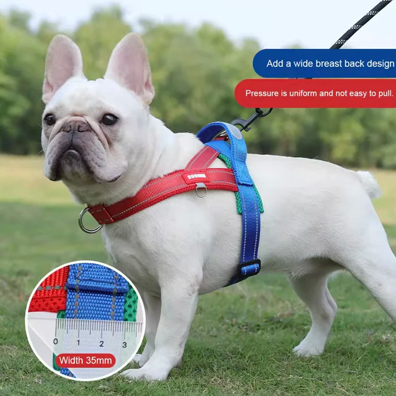 Saddle-Style Padded Dog Harness Vest