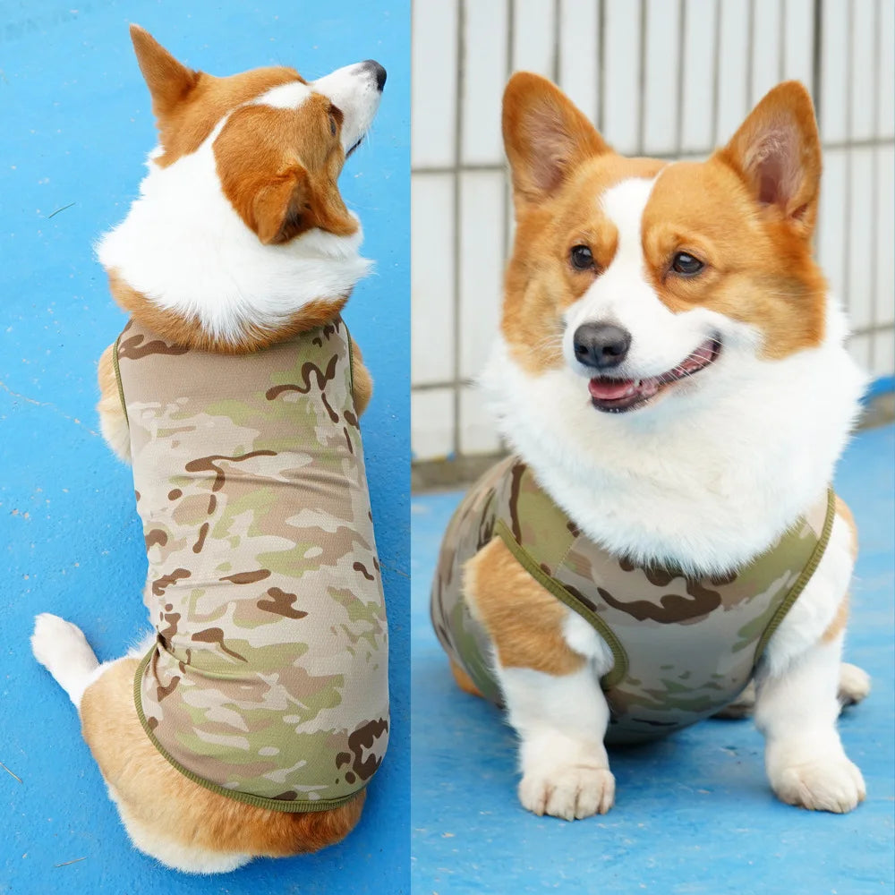 Mesh Cooling Vest & Sun Hat Set for Dogs