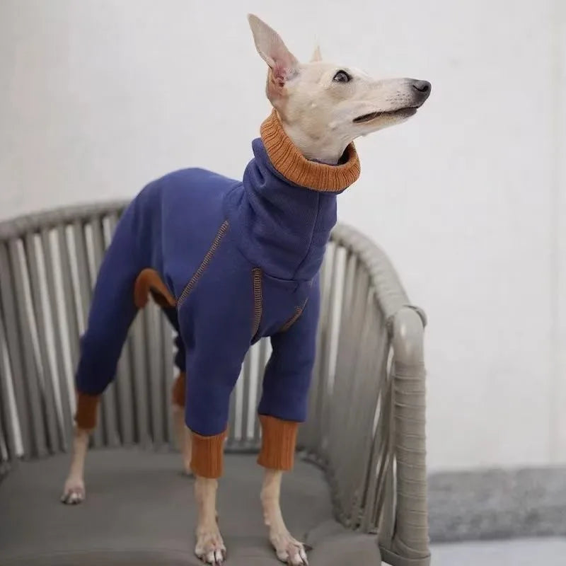 Pull pour chien en peluche à col montant — Couche de base chaude à quatre pattes