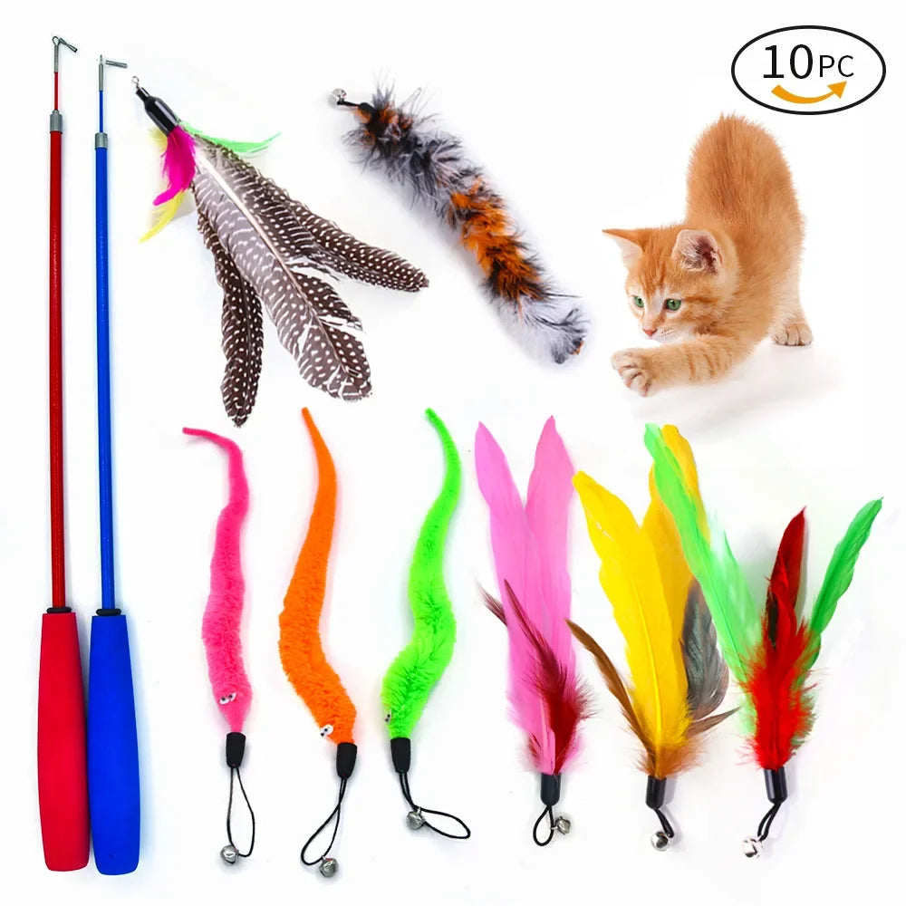 Lot de 10 recharges pour canne à pêche pour chat rétractable