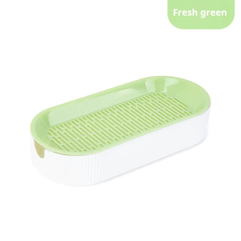 Kit de culture d'herbe à chat hydroponique – Ensemble de plantation sans terre pour friandises fraîches pour chats