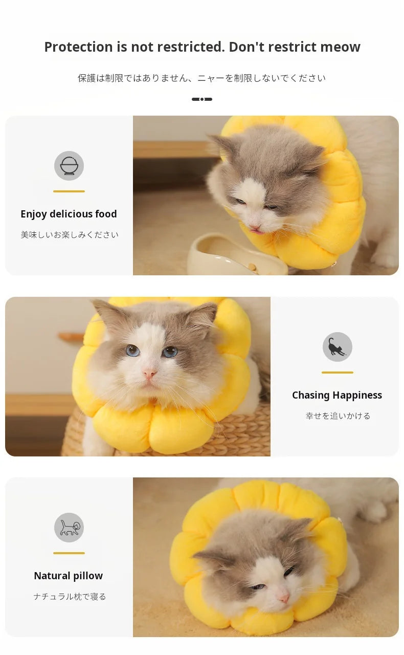 Collerette de protection tournesol – Cône élisabéthain en coton doux pour chats et chiens