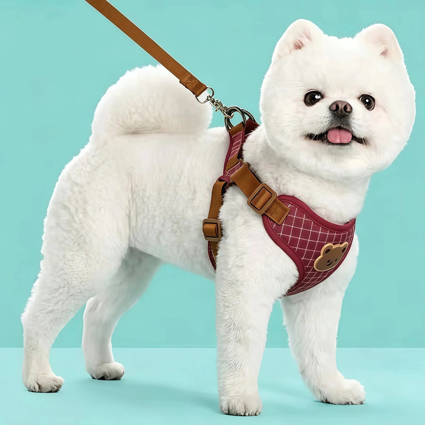 Breathable Vest Harness & Lead Set for Small Dogs & Cats