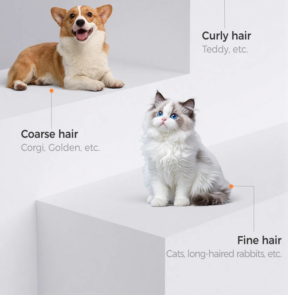 4-in-1 Electric Pet Grooming Clipper Kit