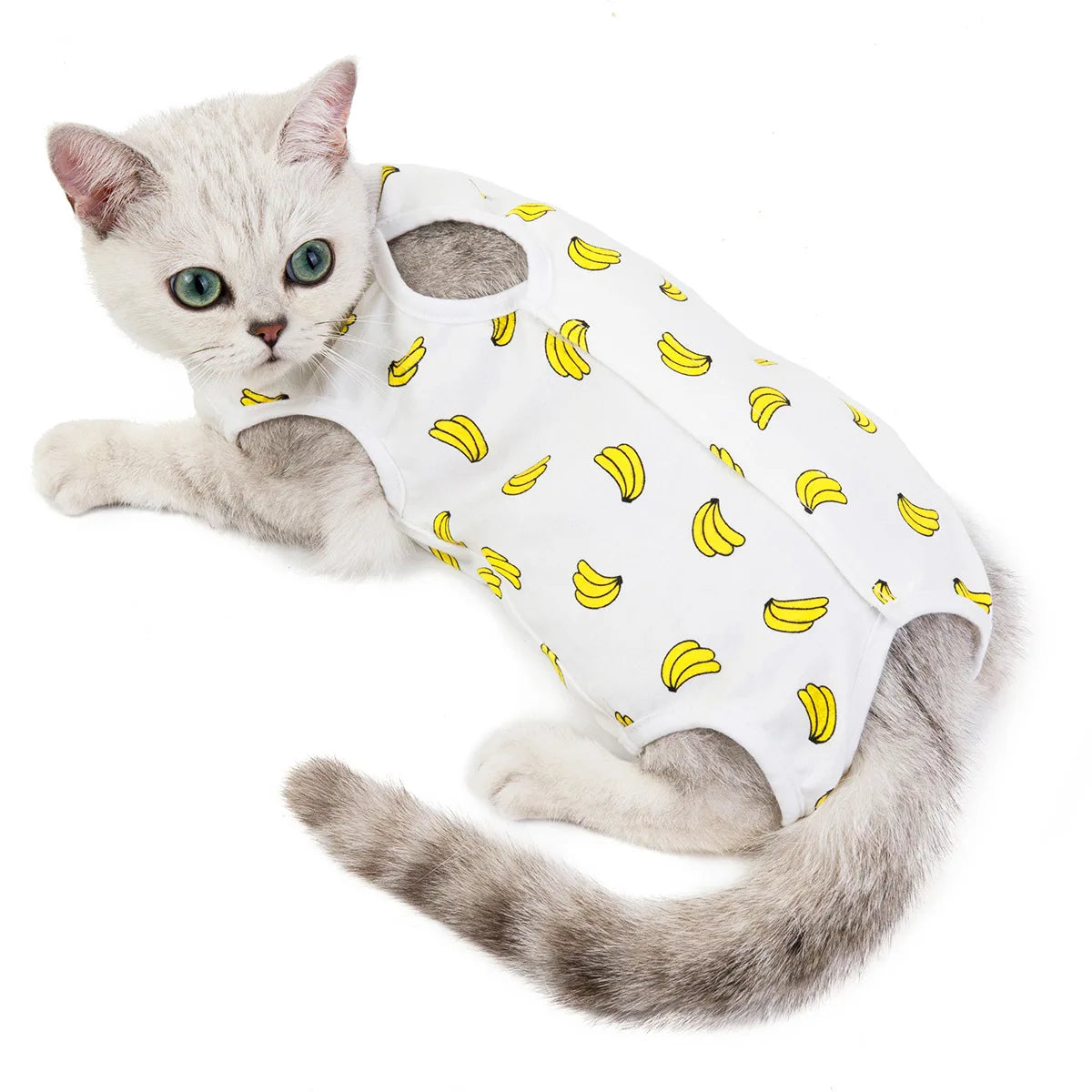 Combinaison de récupération post-opératoire pour chats et petits chiens