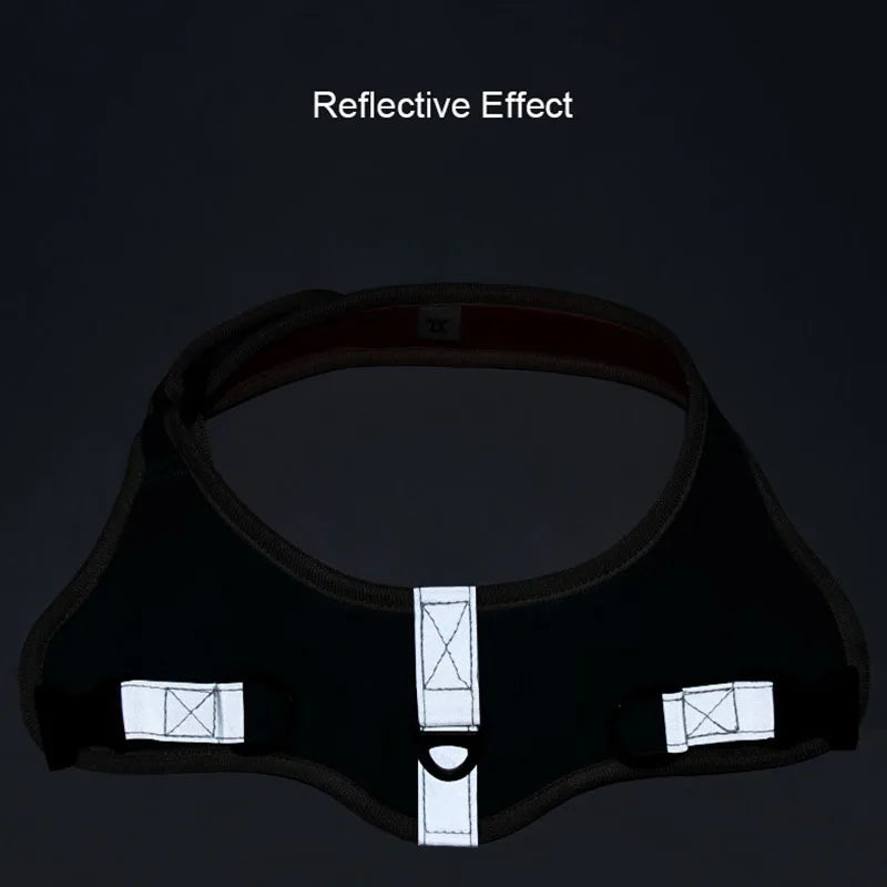Reflective Dog Harness & Leash Set - Nylon Vest Harness for All Sizes