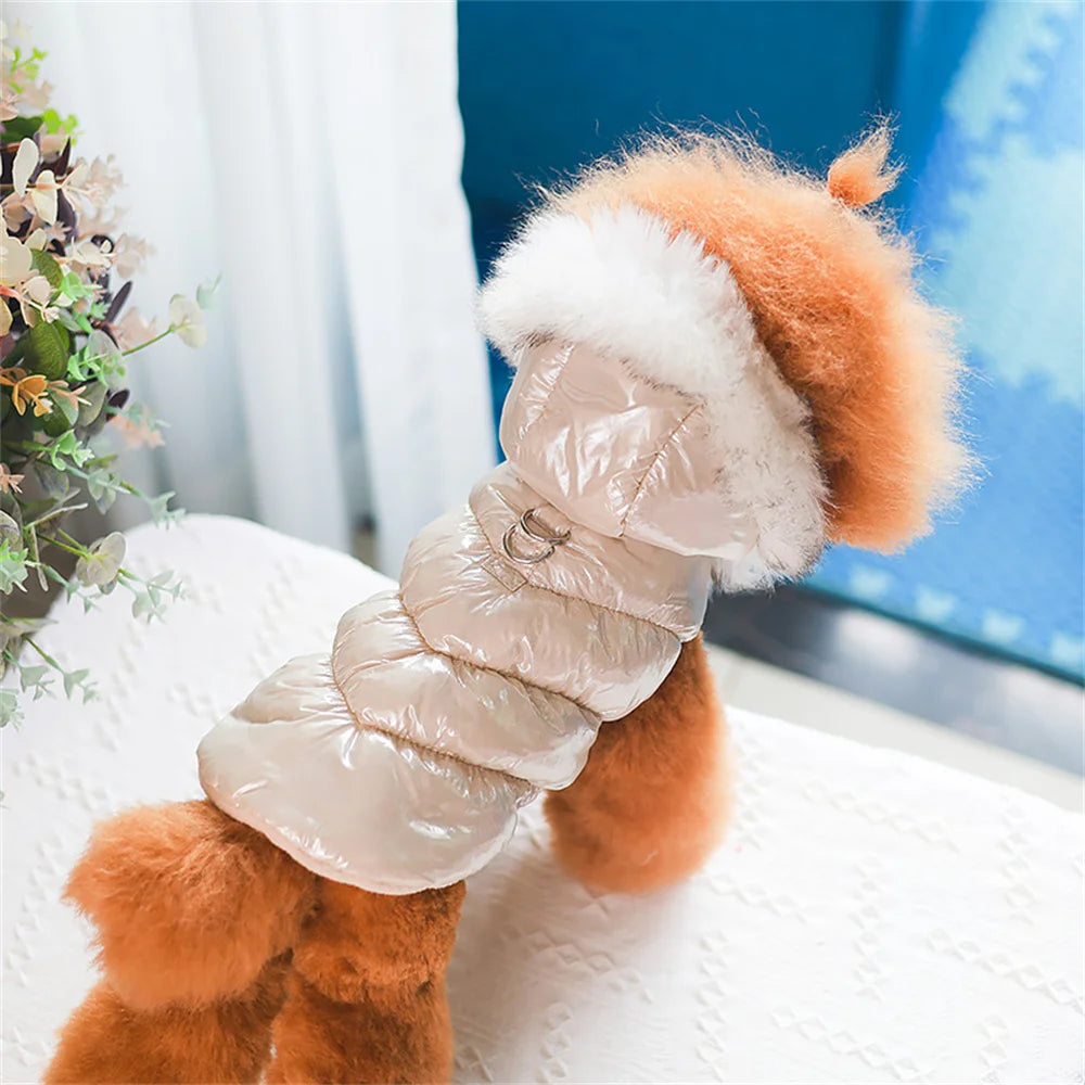 Winter Down & Fleece Dog Coat with Fur Collar for Small Dogs