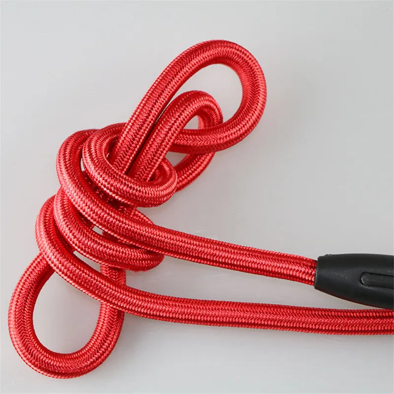 Nylon Slip Lead Training Leash for Small & Medium Dogs